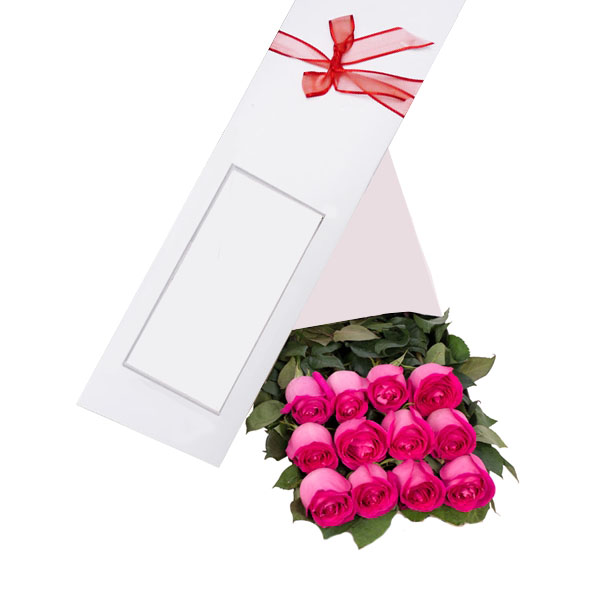 Caja 12 Rosas Fucsia 